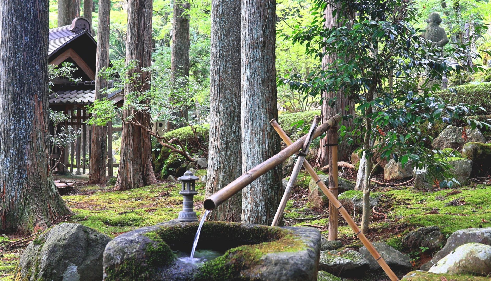 ZUISO（随想） - 想いをつづる、想いがひろがる